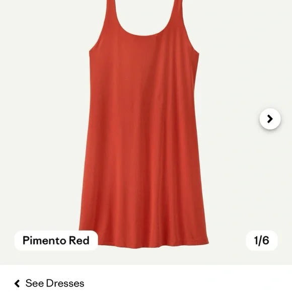 Patagonia |Women's Maipo Red Dress Large BNWT - Picture 3 of 12